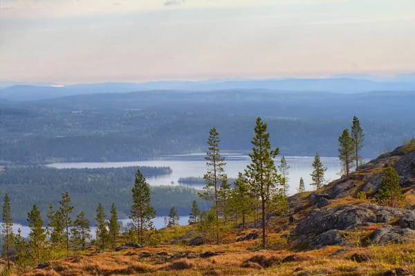 Norwegian plateau (fjelds) in Lapland. Most Northern forest in Europe — Stock Photo, Image