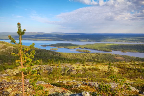 Bergtoendra in Lapland — Stockfoto
