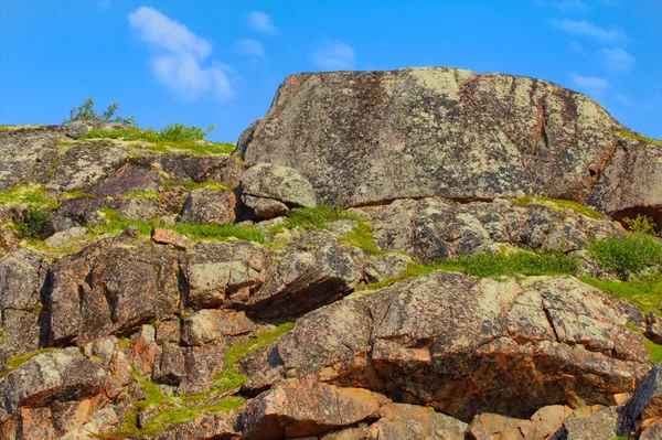 Tundra de montaña en Laponia — Foto de Stock