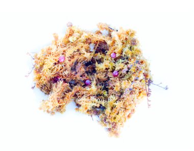 Beyaz arka plan üzerinde doğal yosun ve çilek dekorasyon