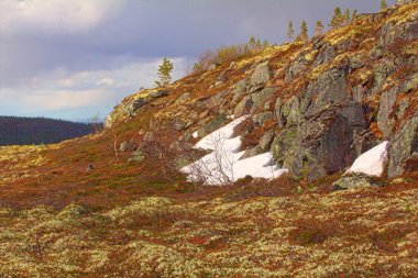Laponya 'daki dağ tundrası