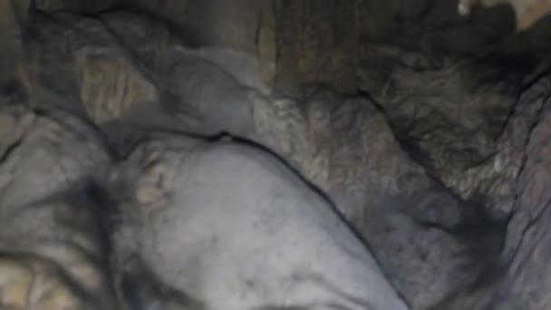 La grotte est lavée par les ruisseaux — Video