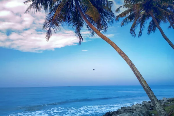 Praia Tropical Com Coqueiro Pôr Sol Dia Quente — Fotografia de Stock