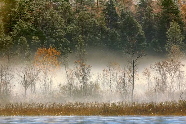 Prachtig Herfstlandschap Met Rivier Mistig Bos Relaxaria Natuur — Stockfoto