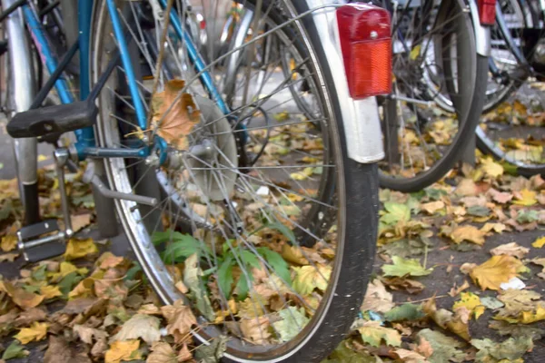 Offuscata Composizione Bici Foglie Gialle Fogliame Giallo Autunno Momento Perfetto — Foto Stock