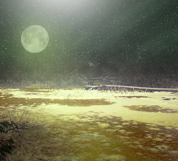 Fantázia Tél Témájáról Holdfényes Borítja Elveszett Földet — Stock Fotó