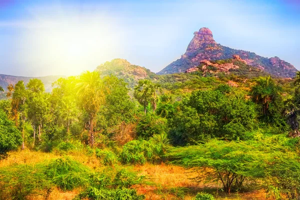 Enda Berg Indien Vid Solnedgången Ljust Varmt Gyllene Landskap — Stockfoto