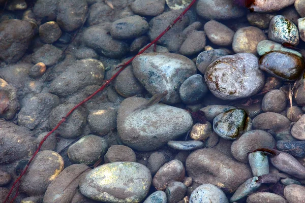 Des Rivières Propres Coulent Des Montagnes Des Rapides Des Hauts — Photo