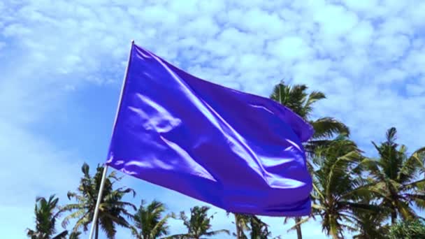 Blaues Banner der Fahne flattert — Stockvideo