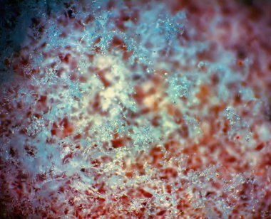 Arka plan, makro. İnce eriyen kar tabakası. Bahar kapanışı