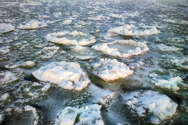 Lód Naleśnikowy Nad Zatoką Fińską Nad Morzem Bałtyckim — Zdjęcie stockowe