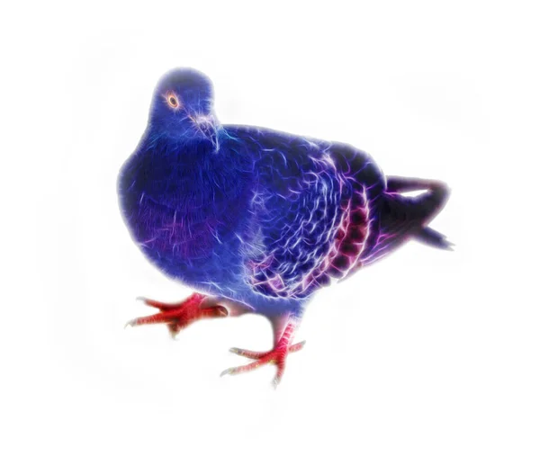 Komputerowo Wygenerowany Gołąb Ptak Abstrakcyjny Fraktal Białym Tle — Zdjęcie stockowe