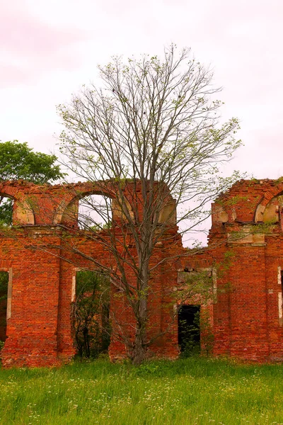 Majestuosas Ruinas Establos Cuartel General Húsares Del Siglo Xix — Foto de Stock