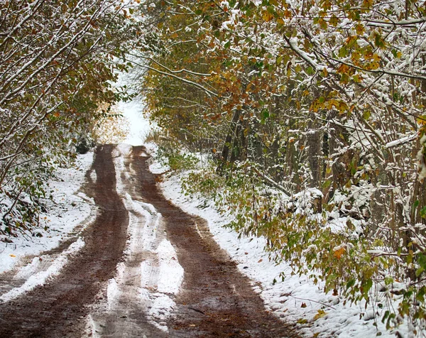 冬天开始时的森林道路和小径 从秋天过渡到冬天 雪落在黄色的树叶上 覆盖着雪地 车辙和人的痕迹 — 图库照片