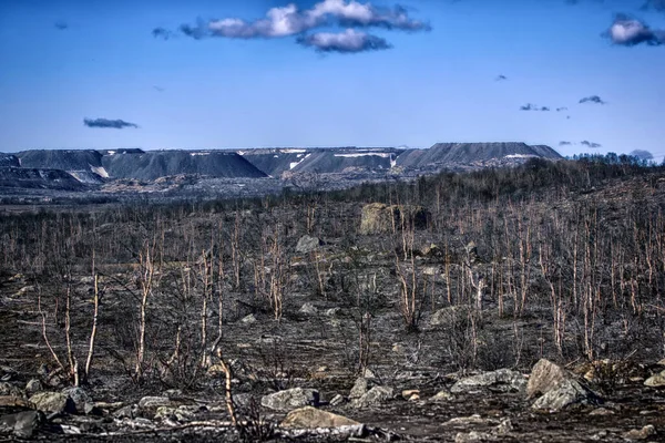 Lesní Tundra Změnila Poušť Kontaminaci Půdy Vzduchu Hutní Rostlinou Následné — Stock fotografie