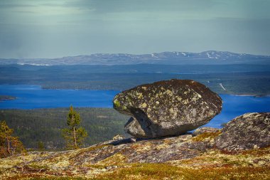 Hafif kozalaklı taiga (Laponya çamı, Pinus friesiana), İskandinavya 'daki Boreal Ormanı. Mayıs ayının sisli bahar sabahı, orman gölü manzarası.