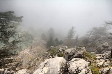 Taurus dağlarının sisli manzarası.