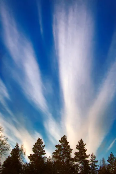 Fliegende Wolke Höhenwolken Wie Explosionswolken Über Dem Wald — Stockfoto