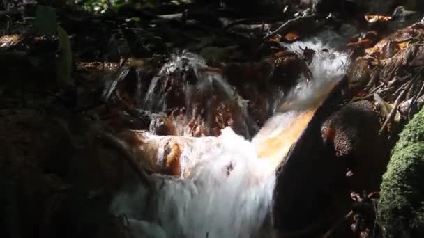 Régi vízvezeték készült egy fa törzs — Stock videók
