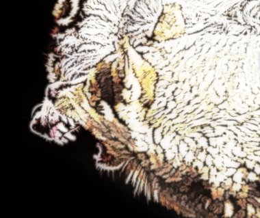 Soyut fraktal ışık arkaplanı. Kin. Köpeğin ağzı, kin.