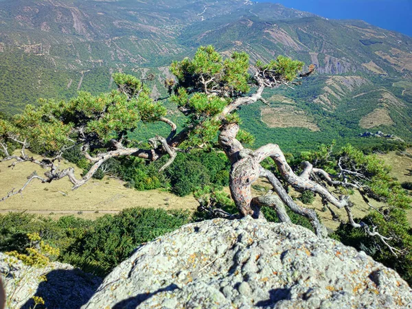 Costa Crimea Mar Negro Vista Desde Decorado Con Viejas Montañas —  Fotos de Stock