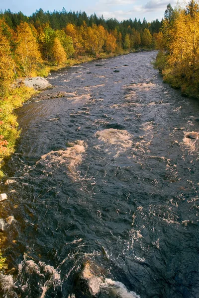 Paesaggio Fluviale Incantevole Autunno Foresta Ingiallita Autunno Tranquillo Scandinavia Rafting — Foto Stock