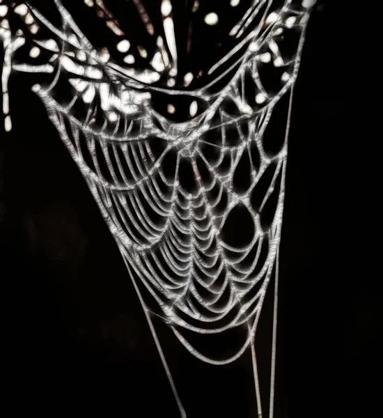 Pókháló Fekete Háttérrel Számítógépes Rajz — Stock Fotó