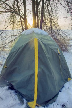 Çadır karla kaplı. Beklenmedik soğuk ve gece yarısı yürüyüşçüleri subtropikal karla kaplı ormanda. Islak kar doğal bir iğrençliktir
