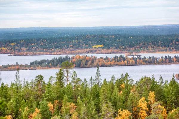 Mellow Autumn Midst Autumn Boreal Coniferous Forests Admixture Birch Aspen — Stock Photo, Image