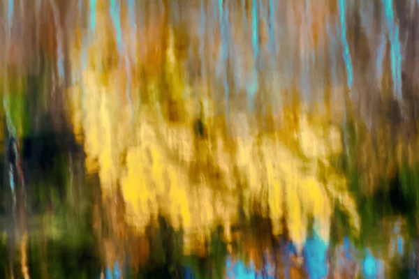 Мягкая Осень Золотая Осенняя Осина Печальная Красота Осени Королевские Богатые — стоковое фото