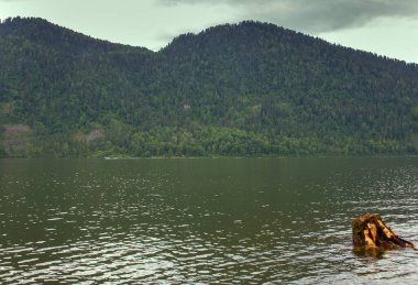 Dağ Gölü güzel ve uzak plajlar. Teletskoye Altai dağlık gölünde