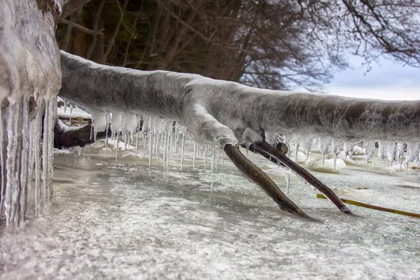 Bevroren Kustzee Winter Alles Bedekt Met Ijs Achtergrond — Stockfoto