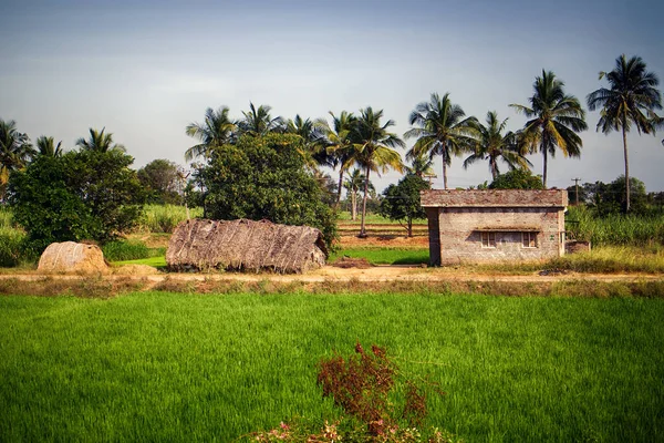 Zones Agricoles Indiennes Avec Maisons Ryots Paysans — Photo