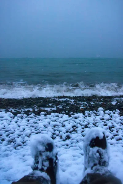 Viajero Llegó Mar Logrando Concepto Avance Trayectoria Invierno Inesperado Colchis — Foto de Stock