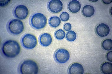 Harmonik arkaplan (ekran koruyucu). Suyun içindeki hava kabarcıkları (beb) ışıkta, pürüzsüz yüzeyde. İç tasarım, tasarım yaratıcılığı,