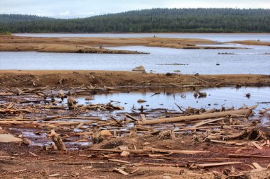 Hidroelektrik kaynaklı su boşaltımı, nehrin dibi açığa çıktı. Beklenmedik bir felaket, kızarmış balık ve su böcekleri öldürüldü. DPHDR6 ile HDR Ton Haritalı