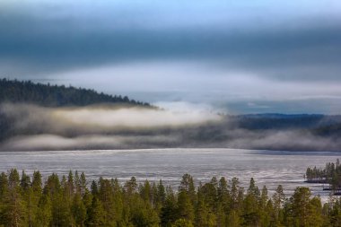 Hafif kozalaklı taiga (Laponya çamı, Pinus friesiana), İskandinavya 'daki Boreal Ormanı. Mayıs ayının sisli bahar sabahı, orman gölü manzarası (buzun altındaki göl))