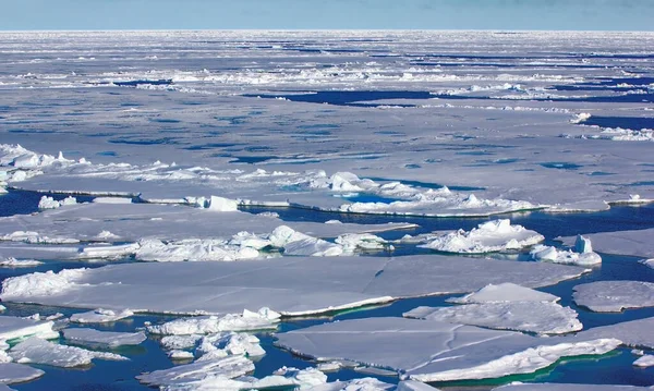 Pólo Norte 2016 Toros Gelo Aberturas Paralelo — Fotografia de Stock