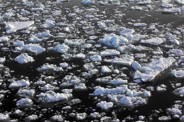 North Pole 2016 Ice Toros Openings Parallel — Stock Photo, Image