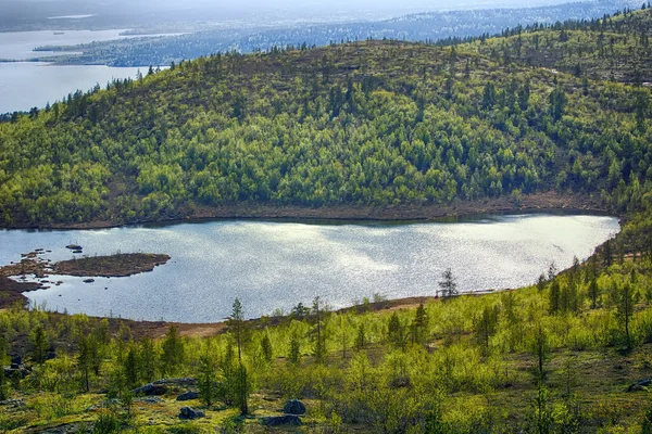 Desde Cima Meseta Con Vistas Valle Entre Bosques Pinos Panorama — Foto de Stock