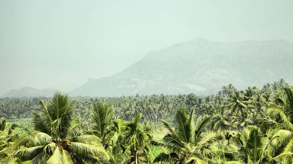 Güneydoğu Asya Nın Palmiye Ağaçları Olan Dağlar Ormanlar Diğer Dünyanın — Stok fotoğraf