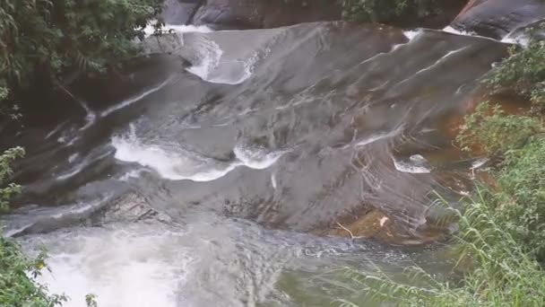 Uma pequena cachoeira de verão nas montanhas — Vídeo de Stock