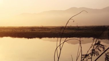 Sessiz nehir manzarası, sis ve yükselen güneşin yansıması.