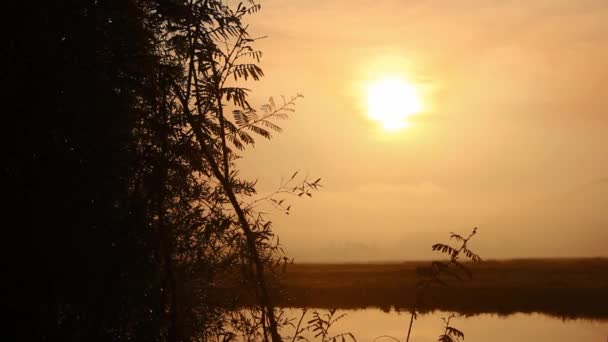 Landskap med lugn flod, dimma och reflektion av stigande sol — Stockvideo