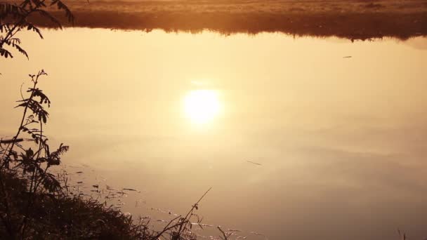 Landskap med lugn flod, dimma och reflektion av stigande sol — Stockvideo