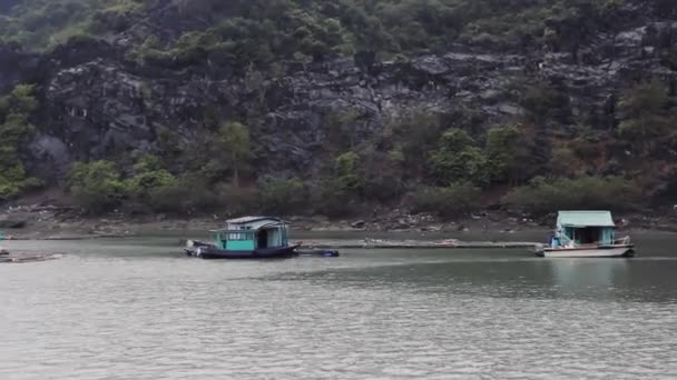 Halong Körfezi, Vietnam doğası.. — Stok video