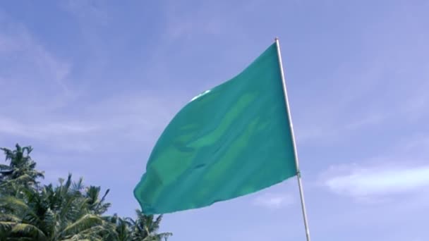 Bannière bleue du drapeau est flottant — Video