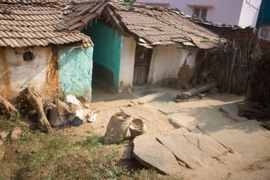 Fakir Hint hanesi (çiftlik) 6. Bahçedeki ev ve inekler. Andhra Pradesh, Anantapur