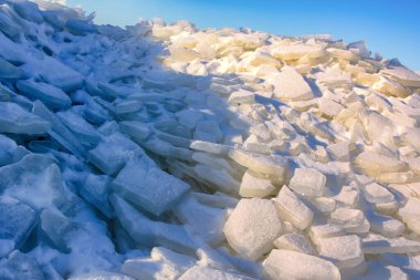 Genç Torolar, buz ve güçlü rüzgârın oluşumunun ilk günlerinde denizde ortaya çıktılar.