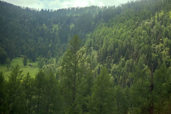 Cubierto Bosques Mixtos Las Montañas Altai Asia Nororiental — Foto de Stock